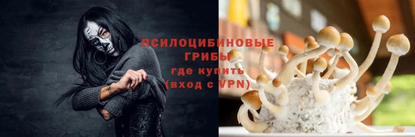 экстази Алексин