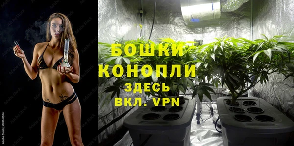 каннабис Аркадак