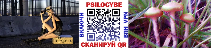 Псилоцибиновые грибы мухоморы Байкальск