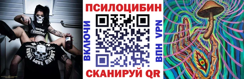 закладка  Байкальск  Псилоцибиновые грибы мицелий 